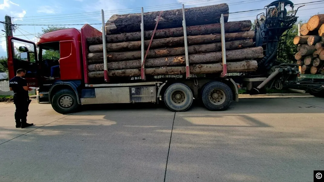 Camion cu lemn, evaluat la aproape 200.000 de euro, ridicat pentru confiscare în Cluj