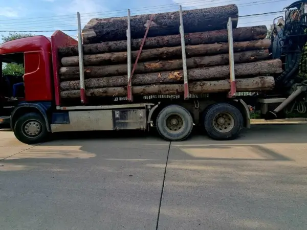 Camion cu lemn, evaluat la aproape 200.000 de euro, ridicat pentru confiscare în Cluj