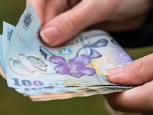 Firmele din Cluj pot accesa finanțări nerambursabile în 2026 prin programe guvernamentale pentru start-up-uri, digitalizare și investiții verzi