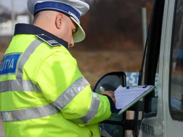Peste 100 de amenzi, 13 permise reținute și 630 kg de cetină confiscată în zona Huedin, după minivacanța de 1 Mai