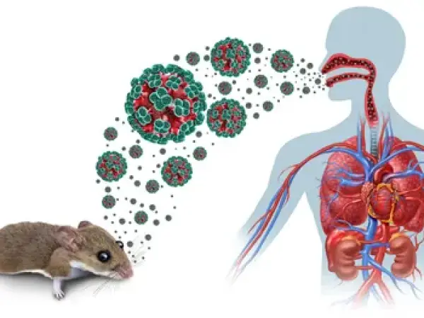 Tânăr din Arad, confirmat cu hantavirus. Ancheta ia în calcul expunerea la rozătoare