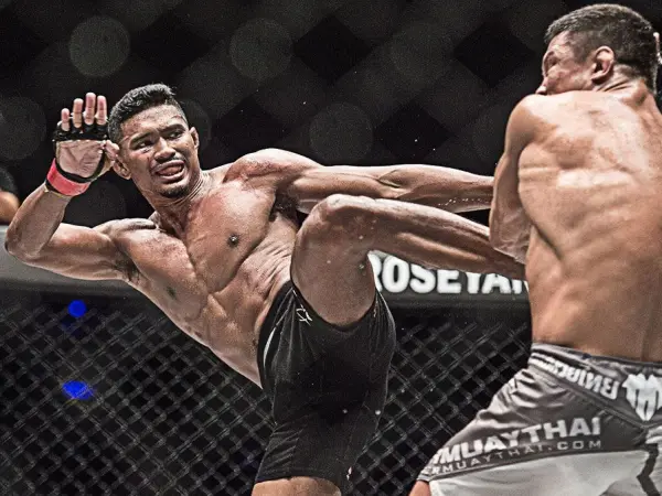 Transylvania Fighting Championship aduce sporturile de contact la BT Arena