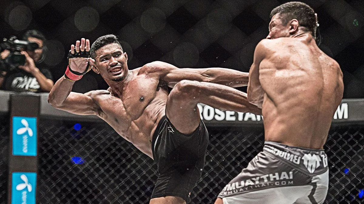 Transylvania Fighting Championship aduce sporturile de contact la BT Arena